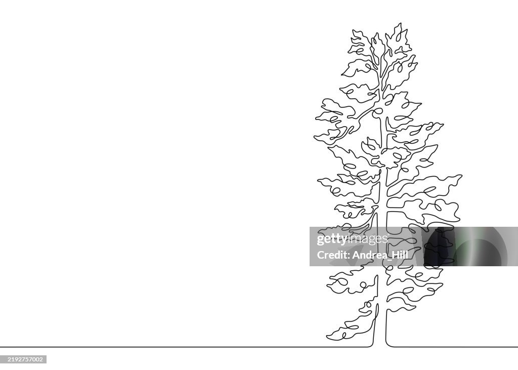 Pine Tree Continuous Line Drawing with Editable Stroke and Copy Space