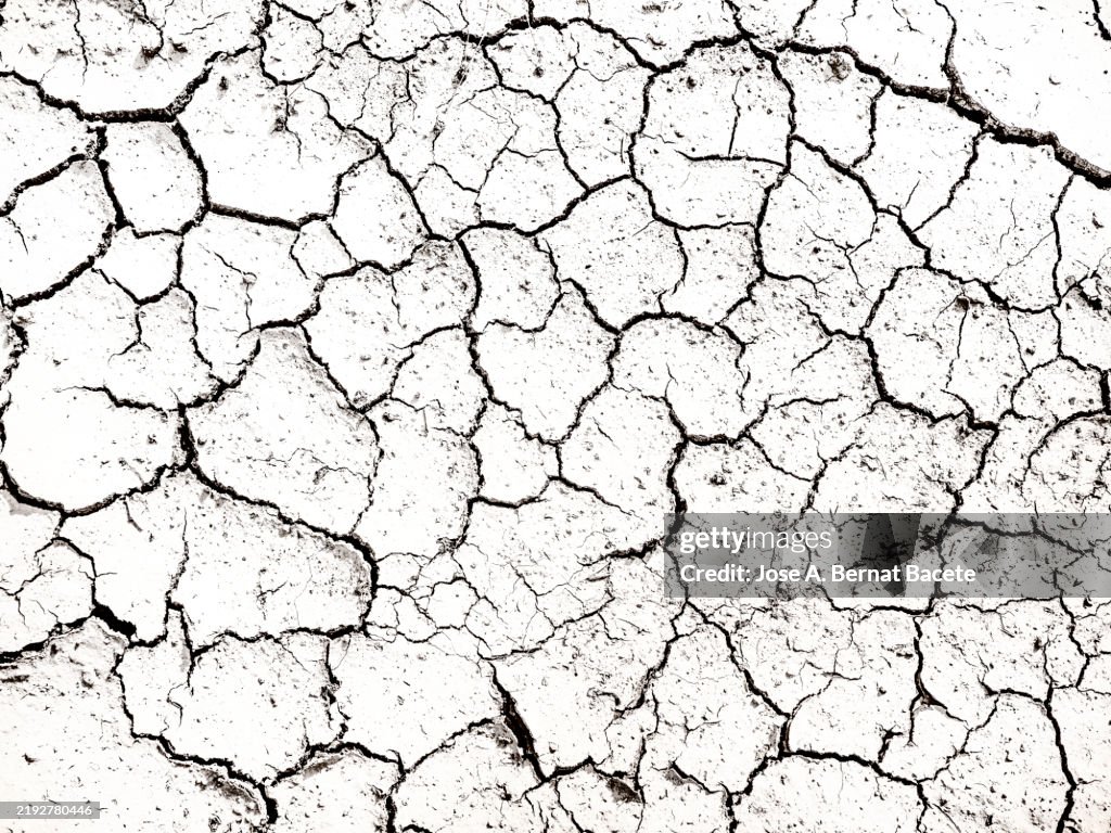 Smooth white earth floor with deep cracks.