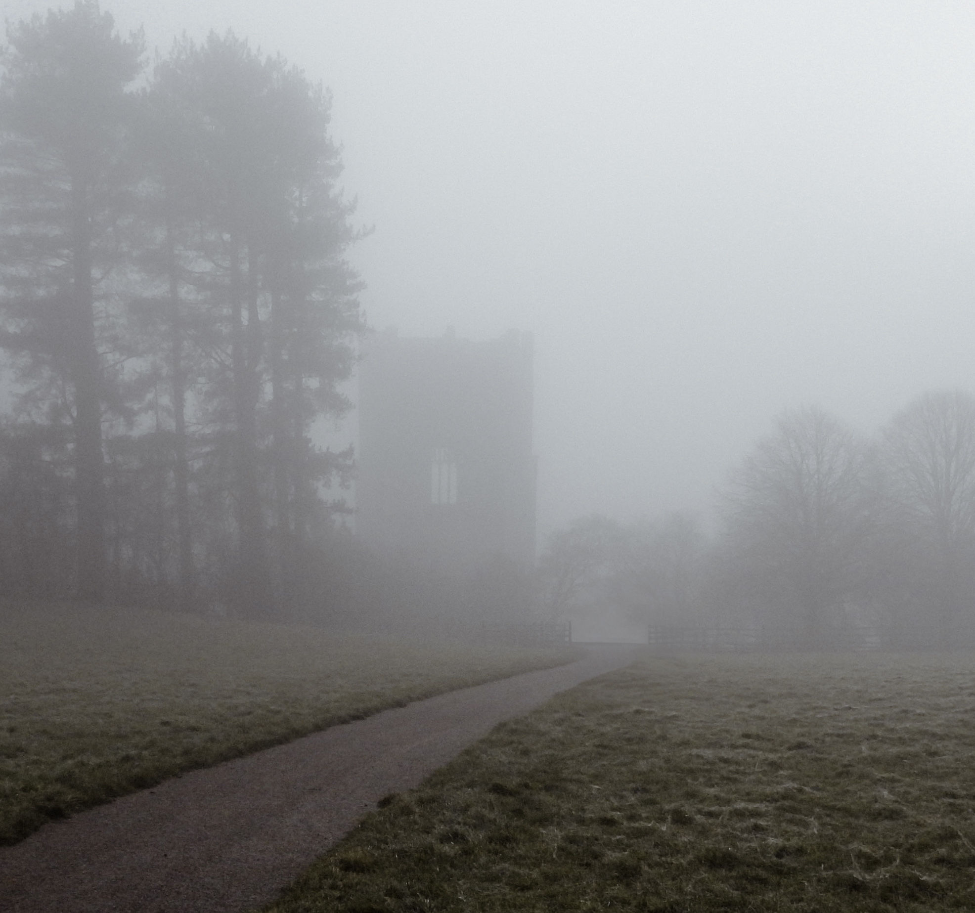 Ripon weather