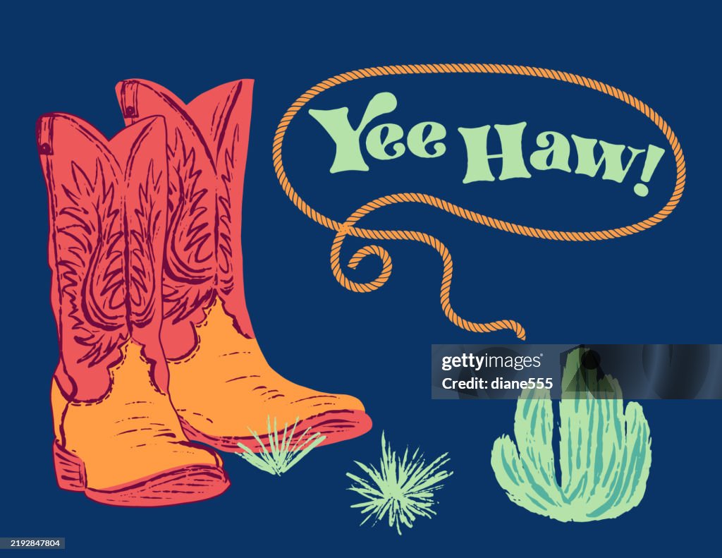 Cute Cowgirl Boots And Cactus Poster