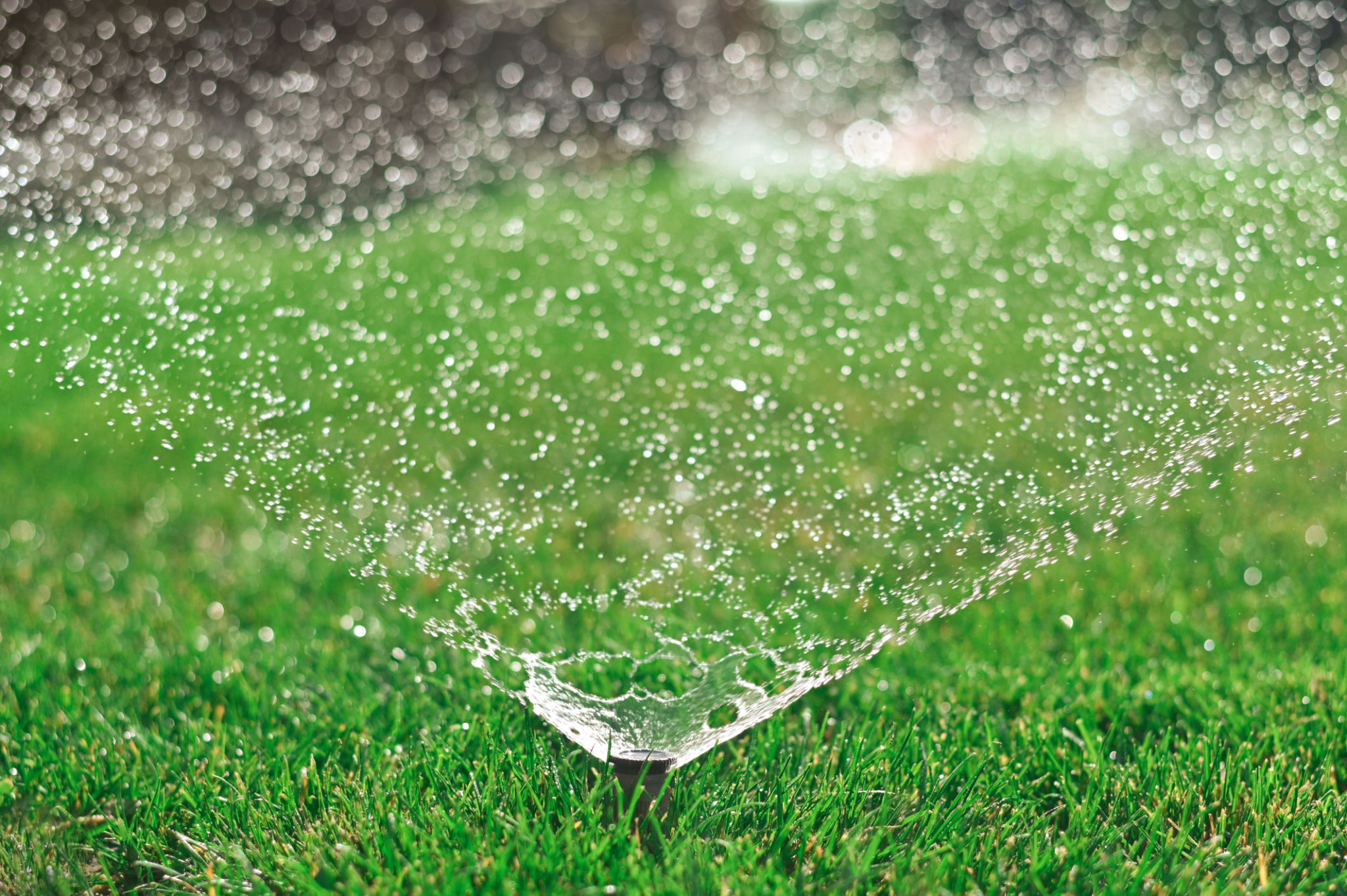 water conservation techniques