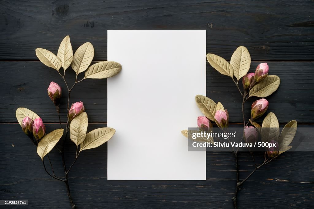 A minimalist composition featuring a large white rectangular blank card