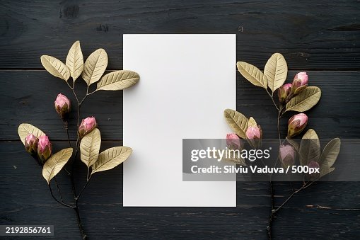 A minimalist composition featuring a large white rectangular blank card A minimalist composition featuring a large white rectangular blank card