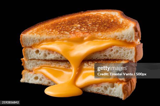 a photo of a grilled cheese sandwich cut in half,with melted cheese - sciogliere foto e immagini stock