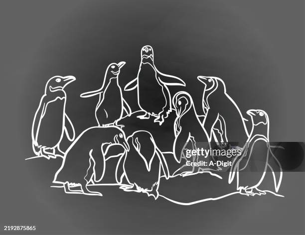 waddleofpenguinsgrey - penguin walking stock illustrations