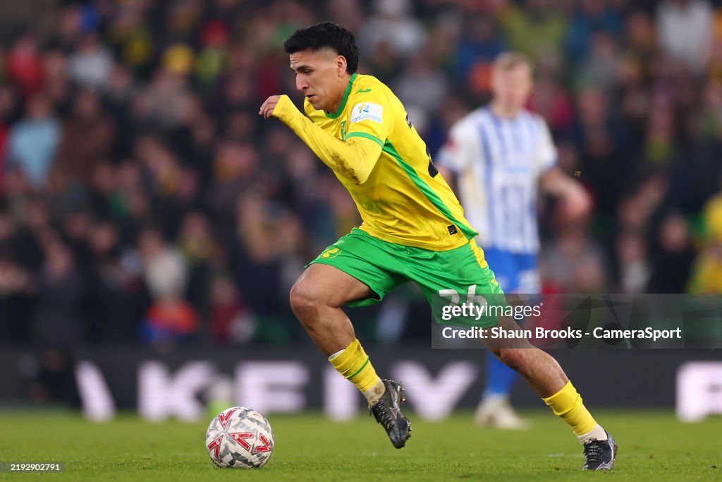 Norwich City v Brighton & Hove Albion - Emirates FA Cup Third Round