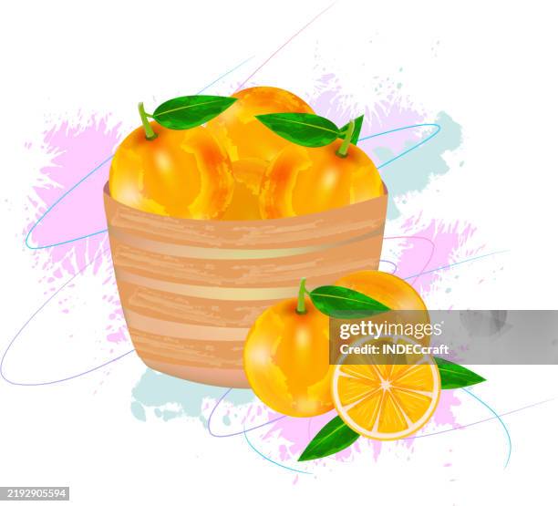 orange fruit on bowl - juice splashing stock illustrations