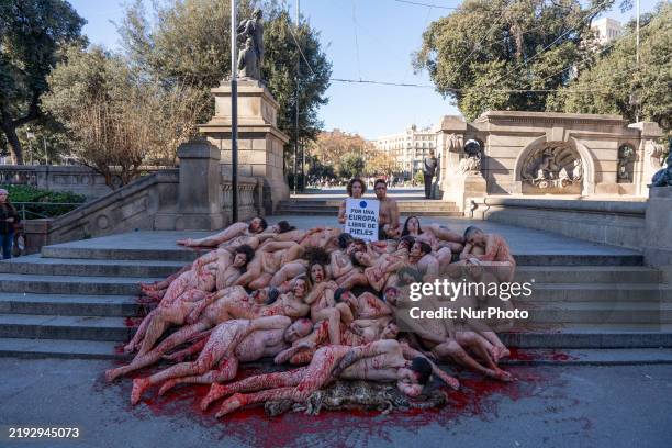 Activists strip naked and smear themselves with fake blood to denounce the fur industry in Europe and the suffering of animals whose skin is removed,...