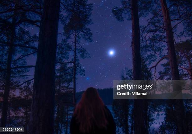 back view of a red-haired woman standing outside surrounded by trees and branches in forest at night, one unrecognizable woman standing alone under bright starry sky - trennungsschmerz stock-fotos und bilder