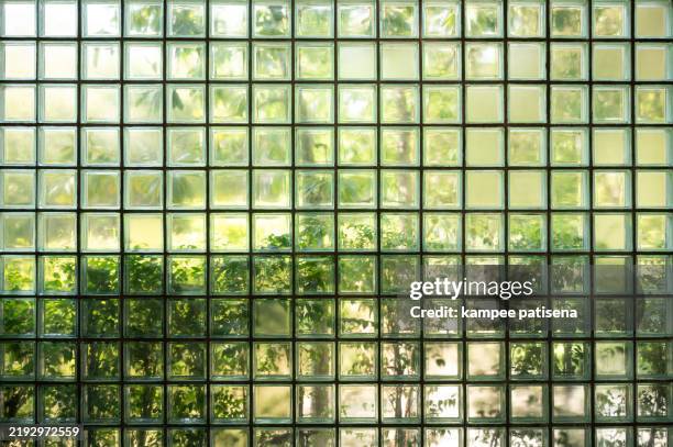 wall of frosted glass blocks - frosted glass stock pictures, royalty-free photos & images