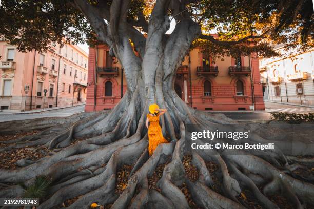 woman admiring a massive fig tree in reggio calabria, italy - maestosità foto e immagini stock