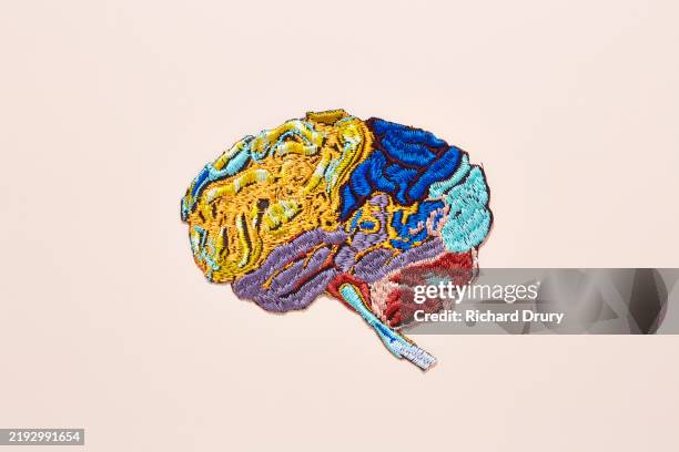 an embroidered human brain - brain stock pictures, royalty-free photos & images