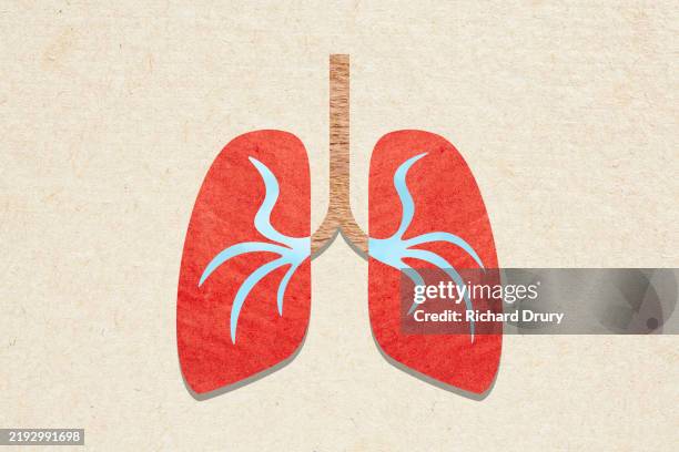 a mixed media montage of human lungs - human lung stock pictures, royalty-free photos & images