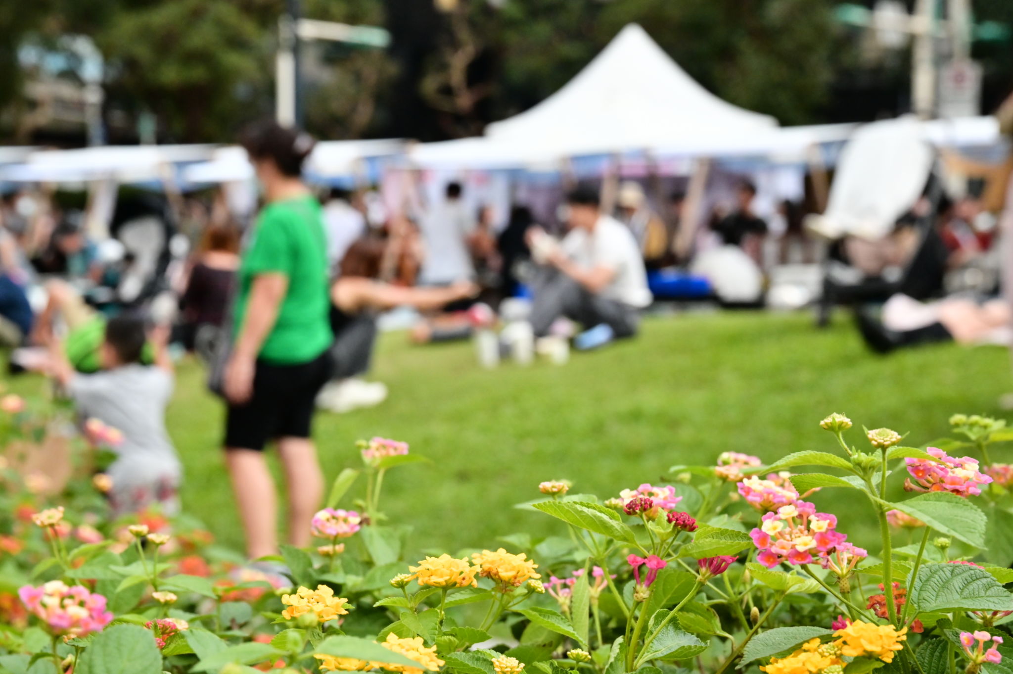 outdoor event perfume