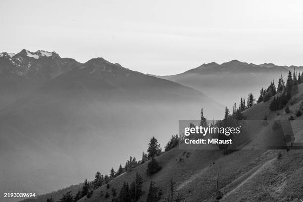 a hazy sunset behind the olympic peninsula mountains seen from hurricane ridge in olympic national park. - mount-olympus-olympic-national-park stock pictures, royalty-free photos & images