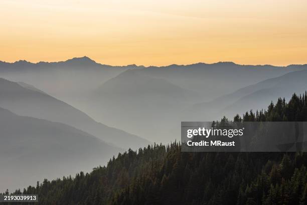 a hazy sunset behind the olympic peninsula mountains seen from hurricane ridge in olympic national park. - mount-olympus-olympic-national-park stock pictures, royalty-free photos & images
