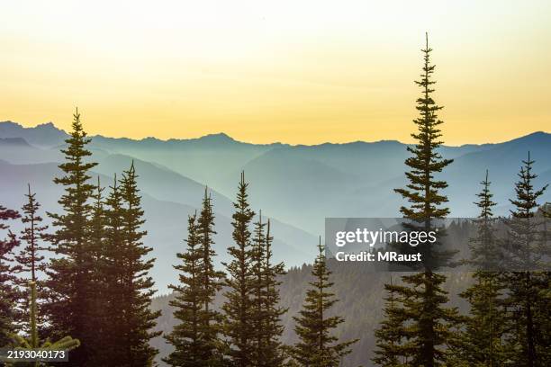 a hazy sunset behind the olympic peninsula mountains seen from hurricane ridge in olympic national park. - mount-olympus-olympic-national-park stock pictures, royalty-free photos & images