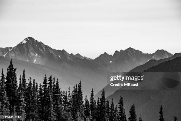 a hazy sunset behind the olympic peninsula mountains seen from hurricane ridge in olympic national park. - mount-olympus-olympic-national-park stock pictures, royalty-free photos & images