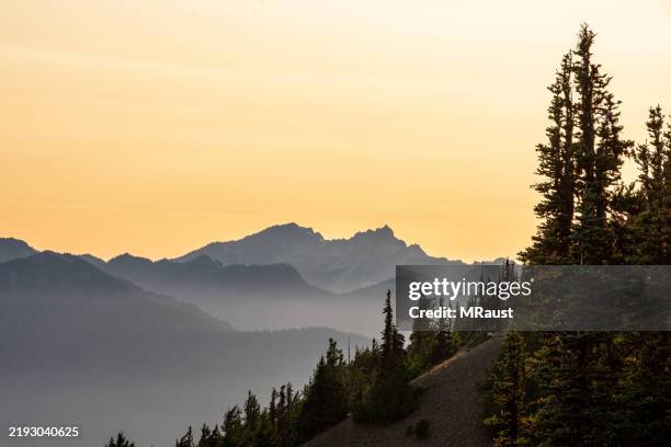 a hazy sunset behind the olympic peninsula mountains seen from hurricane ridge in olympic national park. - mount-olympus-olympic-national-park stock pictures, royalty-free photos & images