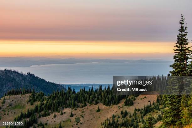 a hazy sunset behind the olympic peninsula mountains seen from hurricane ridge in olympic national park. - mount-olympus-olympic-national-park stock pictures, royalty-free photos & images