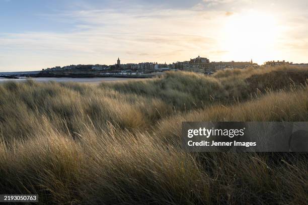 sand dunes on st andrews beach, fife scotland - uk. - sand stock pictures, royalty-free photos & images