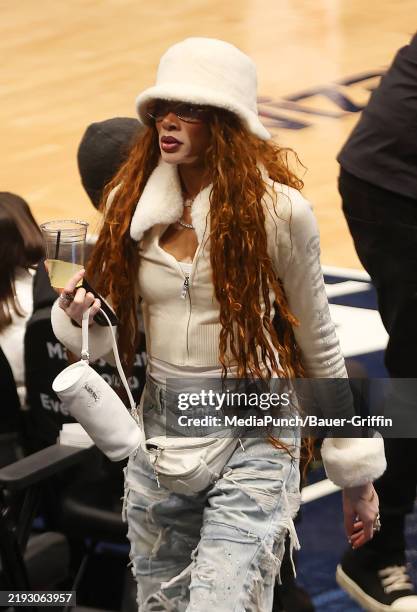 Winnie Harlow is seen at the Washington Wizards basketball game at Capital One Arena on January 12, 2025 in Washington D.C., Washington D.C.