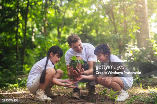 family planting a tree together in a forested environment - sembrar fotografías e imágenes de stock