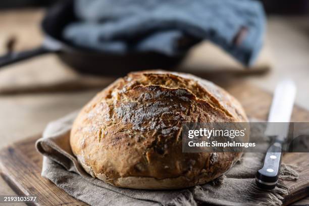 Crusty Things 33 Crusty Texture Stock Photos, High-Res Pictures, and Images - Getty ...