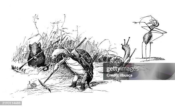cartoon characters and animals from 19th century fable book - gastropod stock illustrations