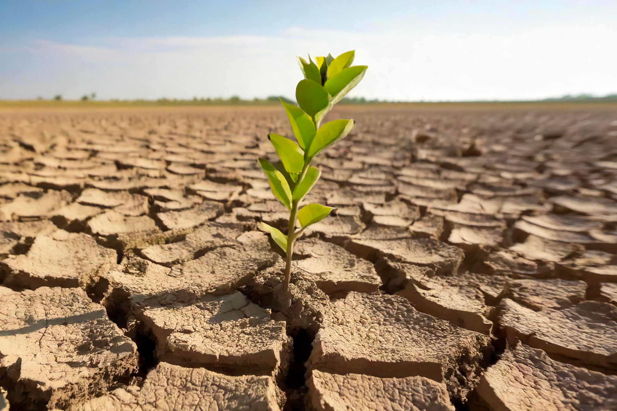 weather resilience