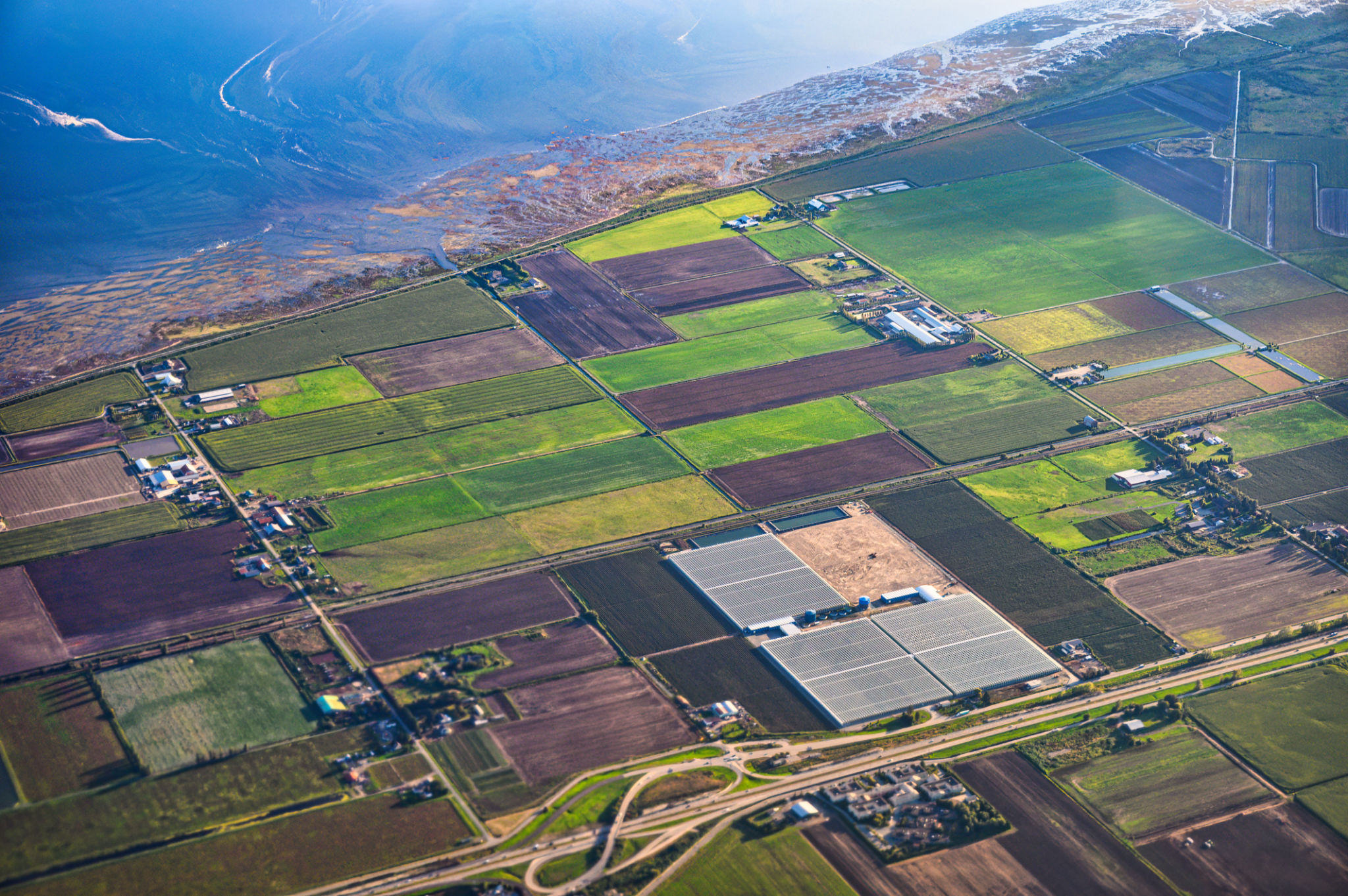 crop rotation field