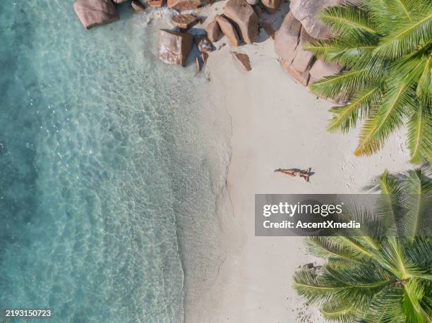 vue à vol d’oiseau d’une jeune femme sur une plage tropicale - océan indien photos et images de collection
