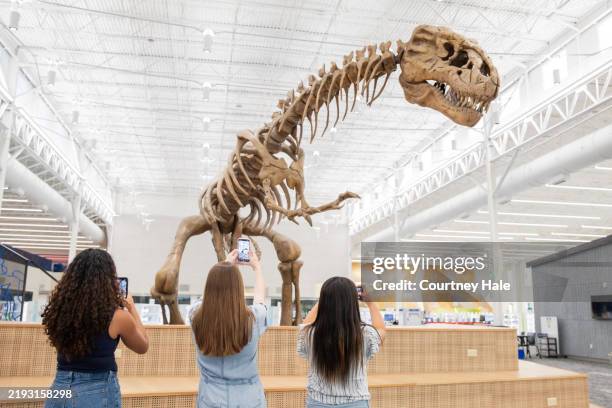 tre turiste scattano foto di un fossile di dinosauro nell'atrio della biblioteca. - dinosauri foto e immagini stock