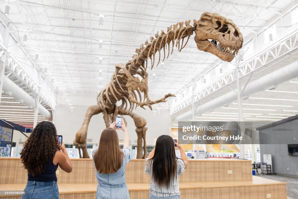 Three female tourists snap photos of a dinosaur fossil in the library lobby.