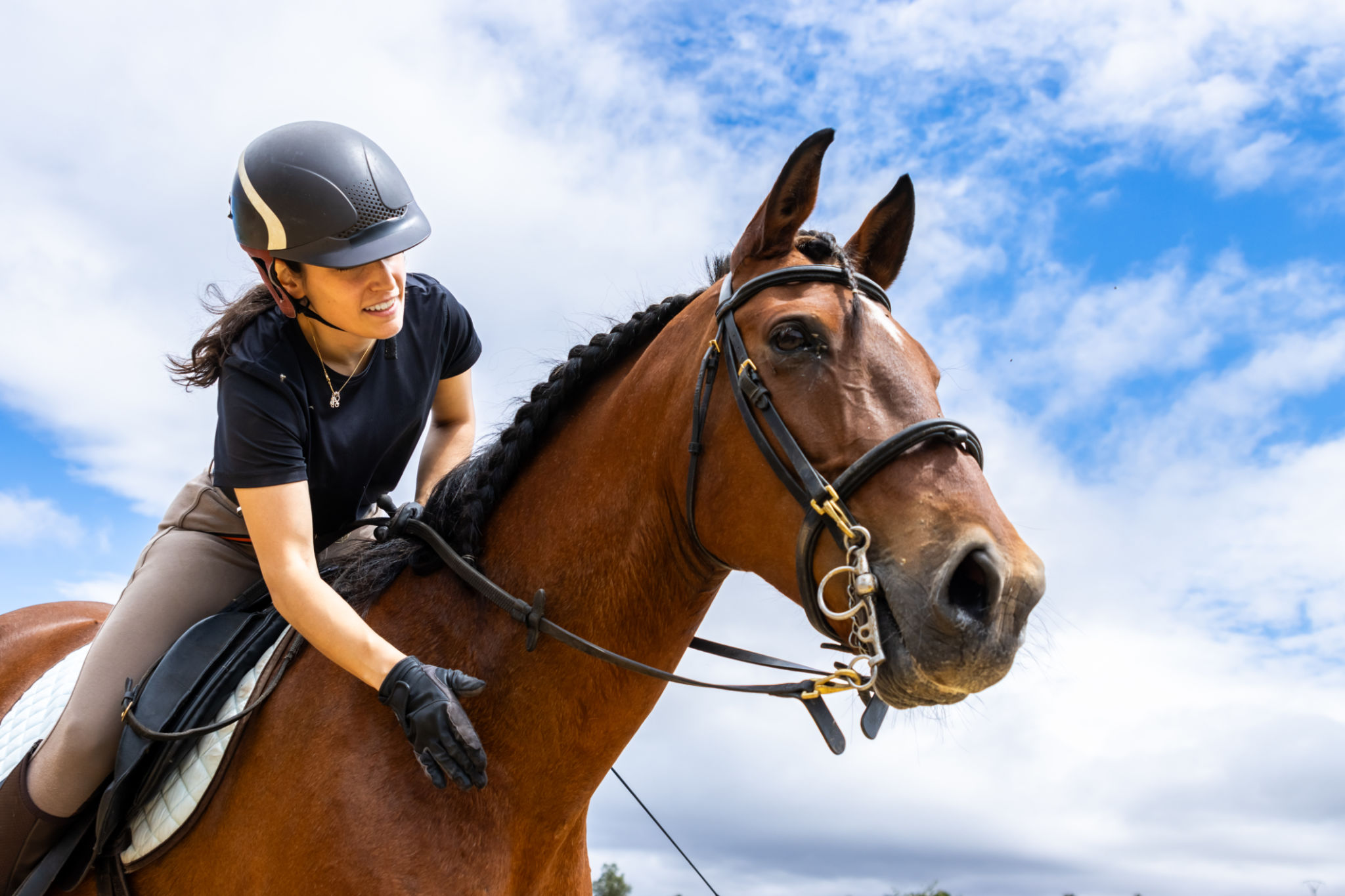 horse rider trust