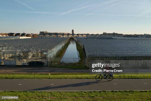Cyclist rides past greenhouses near the Port of Rotterdam on January 13, 2025 in Rotterdam, Netherlands. The Port of Rotterdam is the largest seaport...