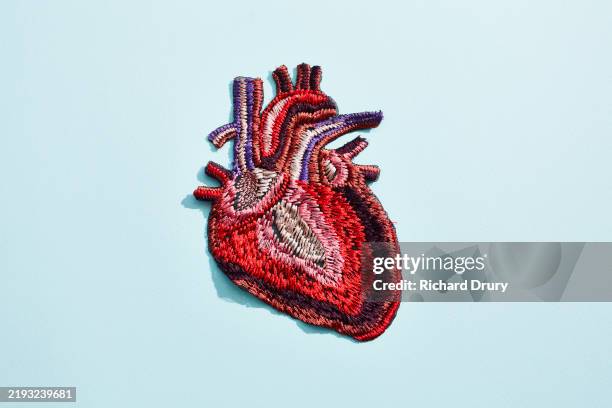 an embroidered human heart - coronary arteries diagram stockfoto's en -beelden
