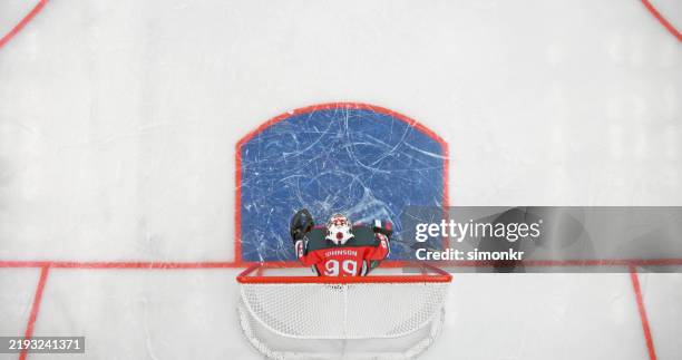 top-down view of ice hockey goalie in action - luva roupa desportiva de proteção imagens e fotografias de stock