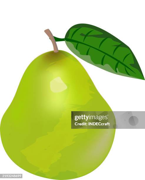 guava fruit - guava vector stock illustrations