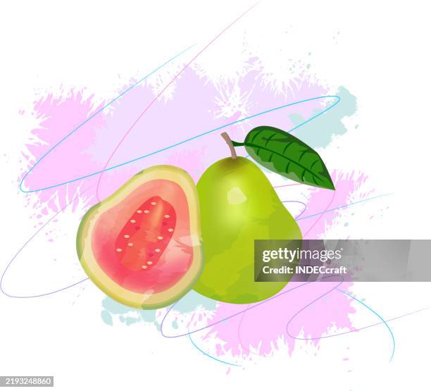 guava fruit with grunge - guava vector stock illustrations