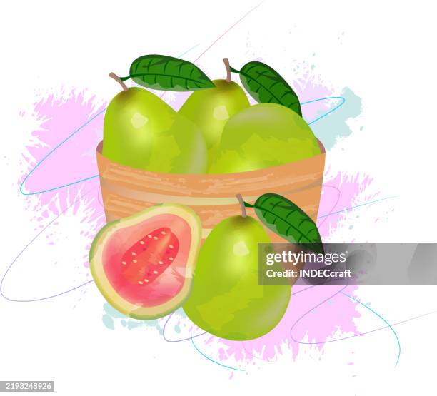 Guava Vector High Resolution Guava Fruits On Bowl High-Res Vector Graphic - Getty Images