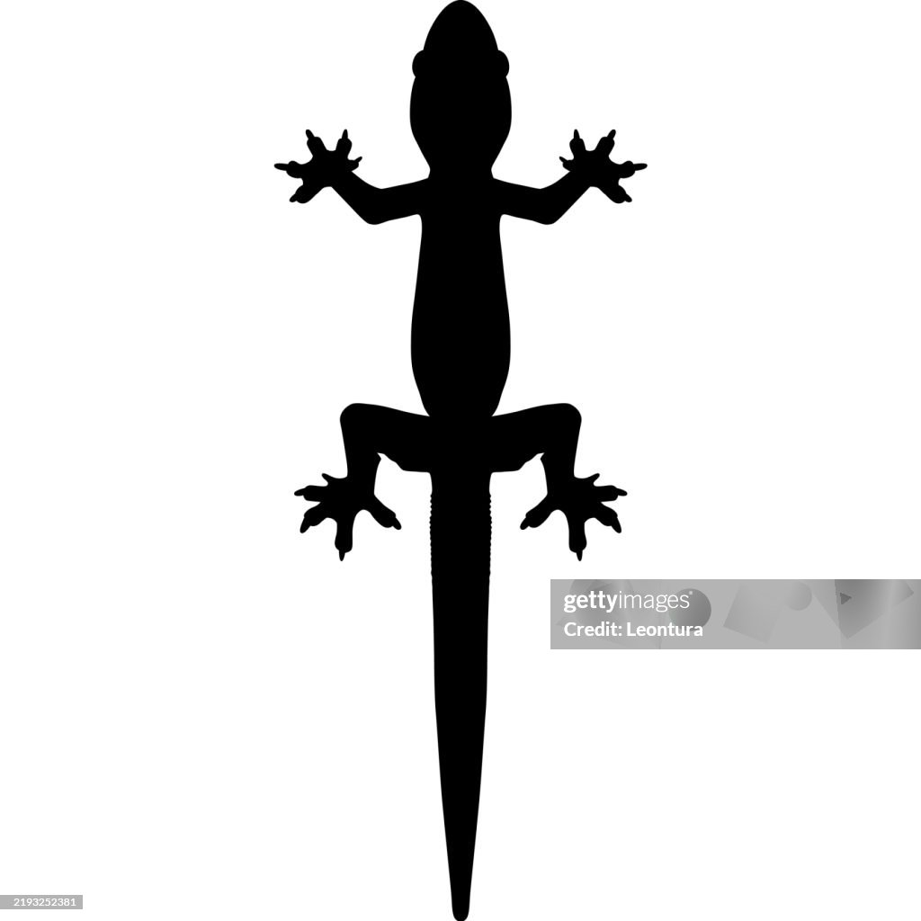 Lizard Silhouette