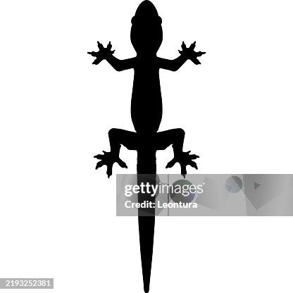 Lizard Silhouette Lizard Silhouette