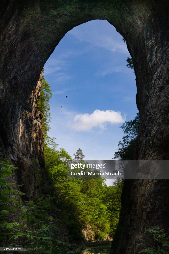 On the Trail through Natural Bridge, Virginia