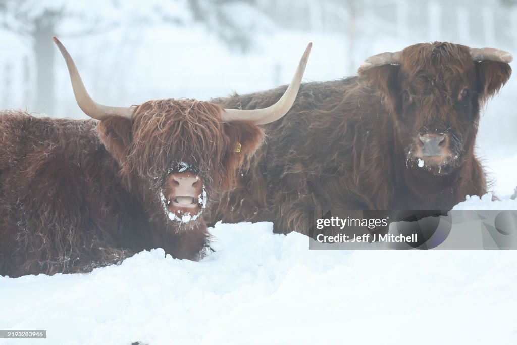 Cold Snap Blasts UK With Freezing Temperatures Amid Winter Weather Warnings