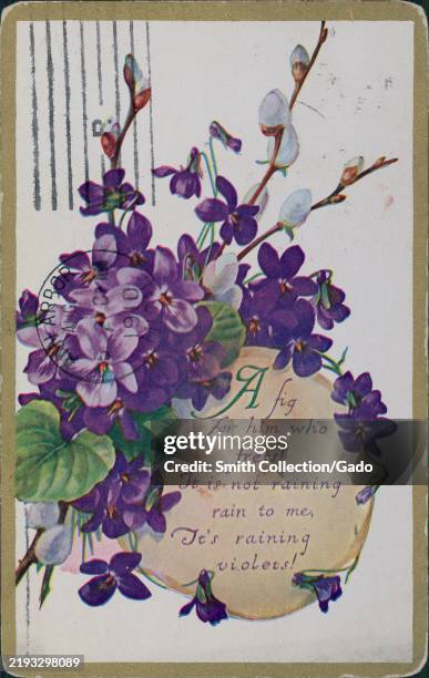 Postcard featuring a floral illustration with violets and a poetic message, "A fig for him who frets!, 1908. It is not raining rain to me, It's...