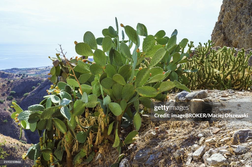 Ghost Town, Pentedattilo Village, Calabria, Italy, Europe