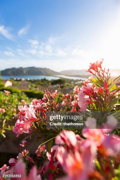 View Of The Beautiful Santa Giulia Bay In Corsica France, Stock-Foto