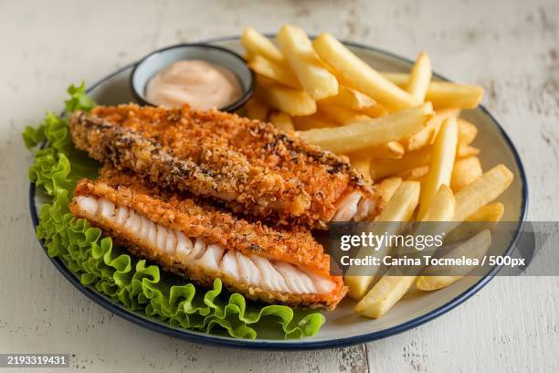 a plate of food consisting of a breaded and fried fish fillet,fresh lettuce,and fries - costeleta comida imagens e fotografias de stock