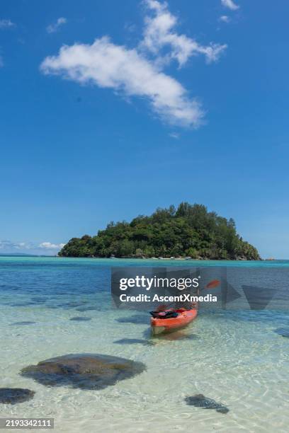 young woman sea kayaks on tropical lagoon - lagoon stock pictures, royalty-free photos & images